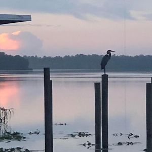 Tropical Marina & Resort On Lake Beresford